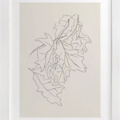 Oak Leaf Study (Fine Art Print by Lorent and Leif)